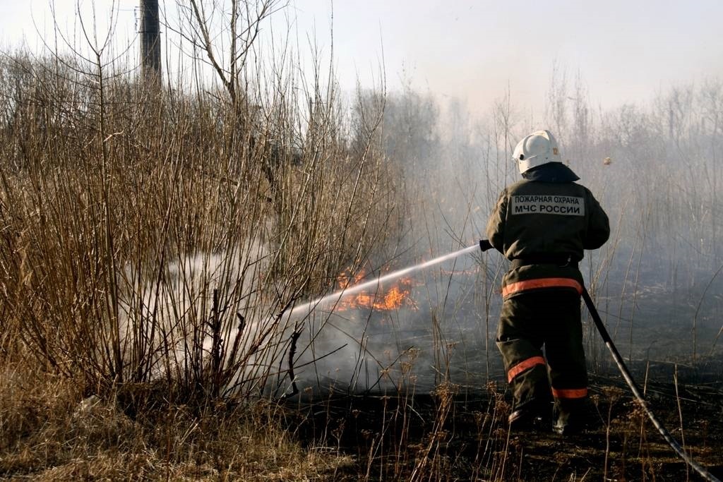 Камчатские огнеборцы в праздничные дни потушили 66 возгораний сухой травы