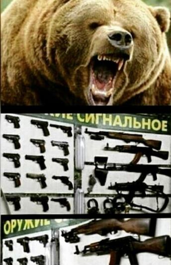 Применение холостых патронов для отпугивания медведя.