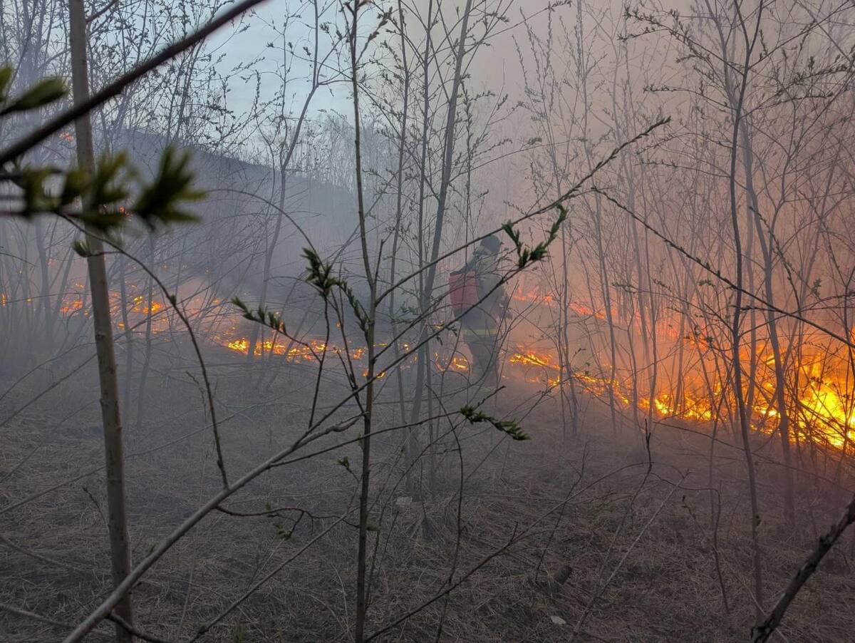 За нарушение противопожарных правил на Камчатке грозит штраф
