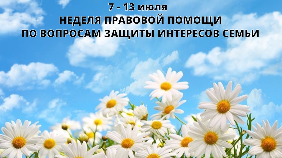 Жители Камчатки могут получить бесплатную правовую помощь по семейным вопросам до 13 июля