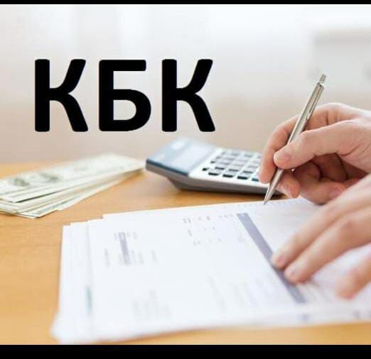 В перечень доходов краевого бюджета, администрируемых Агентством по обеспечению деятельности мировых судей Камчатского края включен код дохода от административных штрафов.